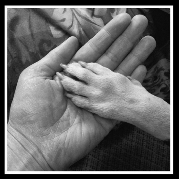 Meet your Posher, Tiff - Picture 10 of 16